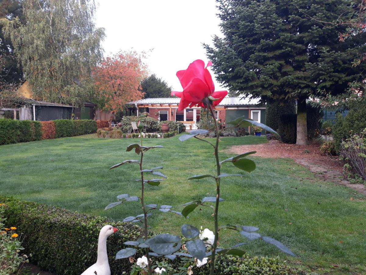 Haus Birkenheim Villa Hatten Eksteriør bilde